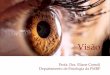 O sistema visual humano fornece uma enorme quantidade e ... · Imagem enfocada na retina depende da refração da luz pela córnea e o cristalino (ajustável) O ajuste da pupila contribui