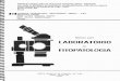 Manual para LABORATORIO FITOPATOLOGIA · PDF file FITOPATOLOGIA Centro Nocionoi de Pesquiso de Trigo POSSO Fundo, RS 1993 . EMPRESA BRASILEIRA DE PESQUISA AGROPECUÁRIA - EMBRAPA vinculada