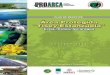 2005 PROARCA/APM, Programa Ambiental Regional para ... · “engañadora”. La garganta del Guaylo, angosto desfiladero situado entre las mesetas de Quiabuc y Tisey, fue por mucho