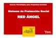 RED ÁNGELmicrositios.cinvestav.mx/portals/clatics/SiteDocs/2010/Davila_i.pdf · Completar la simplificación de todos los trámites y servicios de mayor impacto (ya se tienen 51