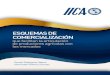EsquEmas dE comErcializaciónrepiica.iica.int/docs/B4242e/B4242e.pdf · El subsistema de alimentos industrializados y su distribución internacional y nacional ..... 6 El subsistema
