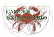CANCER ENDOMETRIO - LOAICIGAloaiciga.com/documentos/cancer_endometrio.pdfHIPERPLASIA ENDOMETRIAL Por estimulación estrogénica sin oposición de progesterona Varía desde un estado