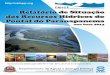 Relatório de Situação da Bacia Hidrográfica do Pontal do ...cbhpp.org/files/2017/04/RS_ano_base_2013_CBH-PP.pdf · formato simplificado, tendo como conteúdo principal um quadro