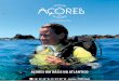 36º 55’ 44’’ N, 25º 01’ 02’’ W - Açores, PORTUGAL...10 mergulho.visitazores.com 11 É possível mergulhar em todas as ilhas do arquipélago, que oferecem experiências