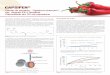 Capsifen - Idealfarma...de 1g de pimenta vermelha em relação ao controle, além disso, o consumo e o desejo de consumir alimentos ricos em gordura e do-ces também foram menores
