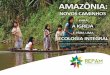 redamazonica.org · A riqueza da selva e dos rios da Amazônia está ameaçada. Explora-se brutalmente seu petróleo, seu gás, sua madeira e seu ouro. Destroem-se suas florestas
