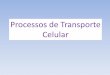 Processos de Transporte Celulartulo-2...Processos de Transporte Celular Science, vol. 175, p. 720-731, fev. 1972. MEMBRANA PLASMÁTICA •Apresenta uma bicamada lípídica entre as