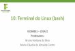 10: Terminal do Linux (bash) - wiki.sj.ifsc.edu.br · O Shell Programa interpretador de comandos do Linux Analisa o texto digitado e produz um resultado Texto é case sensitive “cd”,