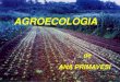 AGROECOLOGIA · 2019-03-27 · ANA PRIMAVESI. A NATUREZA ORIGINAL É SEMPRE A MAIS PRODUTIVA. MAS ELA É MULTIFATORIAL, PROGRAMADA PARA A PRODUÇÃO MÁXIMA DO LUGAR (querendo aumentar