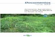 Doc. 322-TC 063 08-Therezinha Bastos€¦ · 12 Zoneamento Agroclimático para a Cultura da Mandioca no Estado do Pará de áreas mais apropriadas para a instalação dos cultivos