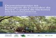 Desmatamento na Paisagem do Corredor da Beira: o papel de ... · de desmatamento e degradação florestal, maneio florestal sustentável, conservação e aumento do acervo de carbono
