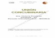 CCEE APUNTES 2011 UNION CONCUBINARIA - FCEA - Facultad de Ciencias Económicas y de ...eva.fcea.edu.uy/pluginfile.php/6211/mod_resource/content/... · 2012-10-03 · A) Por sentencia