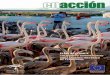 VOLUNTARIADO AMBIENTAL€¦ · Programa de Voluntariado Playa de Levante 11 A FONDO • Plan de Recuperación y Conservación de Invertebrados Amenazados y Fanerógamas del Medio