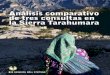 Análisis comparativo de tres consultas en la Sierra Tarahumara · munidades rarámuri del derecho a la consulta y de lo que de él se deriva era total, debido a que no había capacitación
