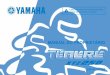 LANDER - Yamaha Motor€¦ · Por favor, leia atentamente este manual para que possa desfrutar de todas as vantagens da sua TÉNÉRÉ XTZ250. O Manual do Proprietário não só lhe