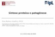 Síntese proteica e patogénese - repositorio.ipl.pt Síntese... · Síntese proteica e patogénese Ana Ramos Coelho, Ph.D. Escola Superior de Tecnologia da Saúde de Lisboa, ESTeSL,