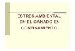 ESTRÉS AMBIENTAL EN EL GANADO EN CONFINAMIENTOagro.unc.edu.ar/~nutri/pdf/estres ambiental.pdf · utiliza una barrera para el viento (Maderet al 1999). La respuesta se obtienen los