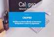 CALYPSO - Instituto de Engenharia€¦ · •Projeções: em função dos resultados o programa poderá ser expandido para áreas vizinhas. 29/11/2017 Calypso WorkShop 14 . DESAFIOS