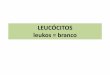 LEUCÓCITOS leukos = brancosocial.stoa.usp.br/articles/0027/8903/Morfologia_e_funcao_leucocito… · Fonte: Hoffbrand et al, 2004 – Fundamentos de Hematologia . Leucograma • Contagem