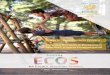 Encarte: Construindo EcoAra Desmistificando a Pedagogia ...ecoara.com.br/wp-content/uploads/2019/03/Ecos-Nov-2018.pdf · currículo exigido em outras escolas como: português, matemática,