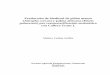 Producción de biodiesel de piñón manso (Jatropha curcas) y ... · PDF file oxidativa (OSI) y ácidos grasos libres, perfil de ácidos grasos e índice de cetanos usando métodos
