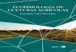 UNIVERSIDADE DO ESTADO DE MINAS GERAISeduemg.uemg.br/.../livros-pdf/...cultura_agricolas.pdfculturas agrícolas, que toleram condições de estresse. Por exemplo, sabe-se que a escassez