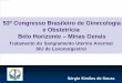 53º Congresso Brasileiro de Ginecologia e Obstetrícia Belo ...Cilindro com levonorgestrel Detalhe . Propriedades SIU - LNG Contracepção (Pearl 0 - 0.3)