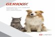 Experiências com GERIOOX descritas por seis especialistas...Na rotina clínica, cada dia mais, os pets que chegam aos consultórios veterinários alcançam ou superam suas ex-pectativas