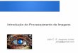Introdução do Processamento de Imagenssmusse/CG/PDF2013_2/aula_PI_Julio.pdf · Passos Fundamentais Segmentação Representação e descrição Pré-processamento Aquisição de