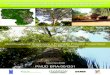 PNUD BRA/00/G31 - Imazon · PNUD Programa das Nações Unidas para o Desenvolvimento PMFS Plano de Manejo Florestal Sustentável ... Mato Grosso (Fonte: IBGE, 2002). .....51 Figura