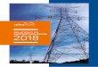 SUSTENTABILIDADE 2018 - Transformando o mercado de energia ...celeoredesbrasil.com.br/wp-content/uploads/2019/07... · e de Gestão da Segurança e Saúde, através da obtenção