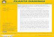 PLANTA DANINHA - SciELO · Planta Daninha 2018; v36:e018179968 PASINI, R.A. et al. Comparative selectivity of herbicides used in wheat crop on the predators Chrysoperla externa and