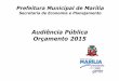Audiência Pública Orçamento 2015 - Marília · Cecília A. Guelpa. • Construção de EMEF no Bairro Marina Moretti • Construção e Reforma EMEF Profª. Myrthes P. Negreiro