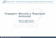 Dragagem, Mercado e Regulação Ambientalweb.antaq.gov.br/portalv3/pdf/palestras/MarcosMaia... · Antonina 2007 – Seminário sobre Dragagem, Mercado e Regulação Ambiental Fatores