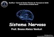 Sistema Nervoso - BD Clínica Odontológica...nervos. Sistema Nervoso Um impulso nervoso é a transmissão de uma alteração elétrica ao longo da membrana do neurônio a par