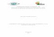UNIVERSIDADE FEDERAL FLUMINENSE UFF Cândida de Melo.pdf · 2.1 fundamentos e etapas da metodologia da problematizaÇÃo 26 2.2 metodologia da problematizaÇÃo no ensino de enfermagem