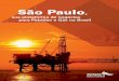 sua plataforma de negócios para Petróleo e Gás no Brasil · SP RJ BACIA DE SANTOS Limite da Bacia de Santos / Pelotas Cavalo Marinho Caravela Coral Estrela do Mar Tubarão-25-100-500