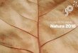 RELATÓRIO ANUAL Natura 2018Mensagem da Presidência Gestão sustentável de fornecedoresA Natura Destaques do nosso desempenho Estratégia Modelo de negócios Natura multicanal Quadro