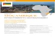 INVESTIMENTO ESTRANGEIRO - Montepio · 2015-10-09 · regime de exclusividade ou de licenciamento restrito por ... - lucros exportáveis resultantes de investimentos elegíveis à