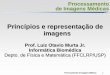 Princípios e representação de imagensdcm.ffclrp.usp.br/~murta/PIM/PIM_1_Represent.pdfProcessamento de Imagens Médicas 1 Processamento de Imagens Médicas Princípios e representação