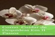 CONTEÚDO BÔNUS – COMO CUIDAR DE · CONTEÚDO BÔNUS – COMO CUIDAR DE ORQUÍDEAS EM 11 PASSOS Este é o conteúdo bônus do manual como fazer sua orquídea florir, aqui você