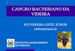 Agência de Defesa Agropecuária do Paraná - ADAPAR - CANCRO BACTERIANO DA VIDEIRA · 2019-10-01 · Cancro Bacteriano da Videira O Agente Causal Xanthomonas citri pv.viticola (Nayudu