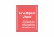 Larva Migrans Visceral - Larva Migrans Visceral Fabr£­cio Miskulin 1801117 Julia Maria Barbosa 1801107