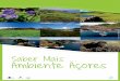 Saber Mais Ambiente Açoresservicos-sraa.azores.gov.pt/grastore/educar/CadernoSaber...Cada uma das ilhas do arquipélago dos Açores dispõe de um parque natural de ilha, que gere