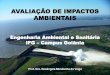 AVALIAÇÃO DE IMPACTOS AMBIENTAIS · Acessibilidade pública do relatório de impacto ambiental e a possibilidade de participação no processo. CONSTITUIÇÃO FEDERAL Artigo 225
