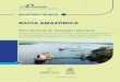 BACIA DA AMAZÔNIAweb.antaq.gov.br/portalv3/PNIH/RTBaciaAmazonica.pdf · Figura 29 - Modal hidroviário em 2020..... 47 Figura 30 - Modal hidroviário em 2025..... 47 Figura 31 -