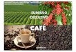 SUMÁRIO EXECUTIVO - Embrapa CaféSumário Executivo de CAFÉ Comparativo de Área, Produção e Produtividade de Café em grãos Café Arábica 2017 2018 Var. % 2017 2018 Var. % 2017