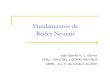 Fundamentos de Redes Neuraisgabriel/cpe721/080110FundamentosRN5.pdf · Slide 3 – José Gabriel R. C. Gomes – 08 de outubro de 2007 I. Introdução O Neurônio Natural Origens: