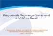 Programa de Segurança Operacional e SGSO no Brasil€¦ · Conhecer os próximos passos da ANAC para a implantação do GSO no Brasil. •2 Objetivos Questões levantadas Requisitos