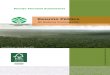 Manejo Florestal Sustentável€¦ · manejo florestal ao órgão ambiental competente, contendo as informações definidas em suas diretrizes técnicas, com as especificações das